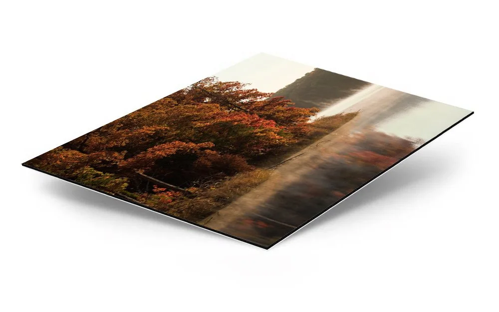 Foggy Lake Fall Morning Dibond Metal Print