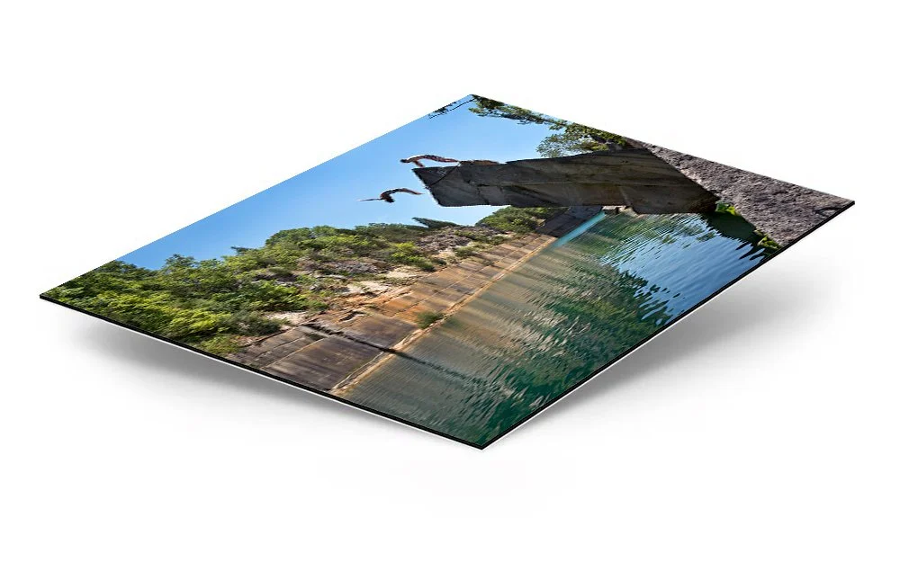 Hollywood Backflip Dibond Metal Print