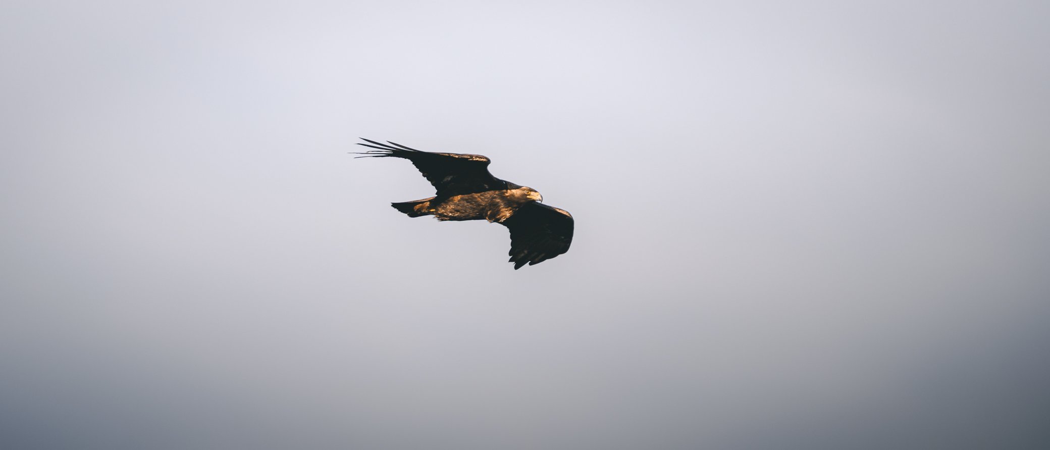 _DSC9670.jpg