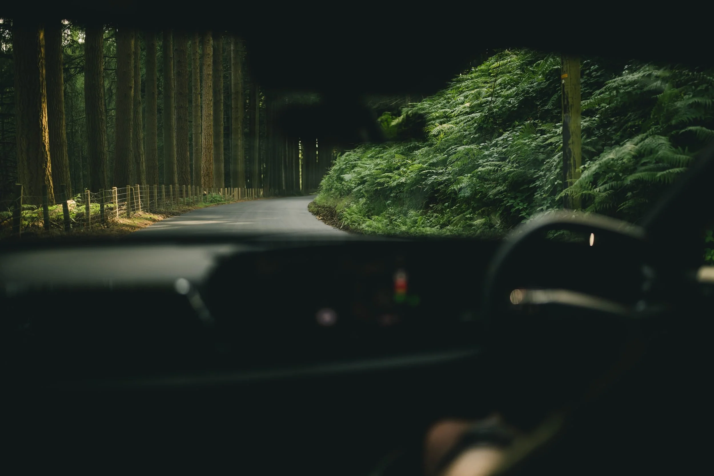 View from an Audi's driver's seat along a wooded road, Wales