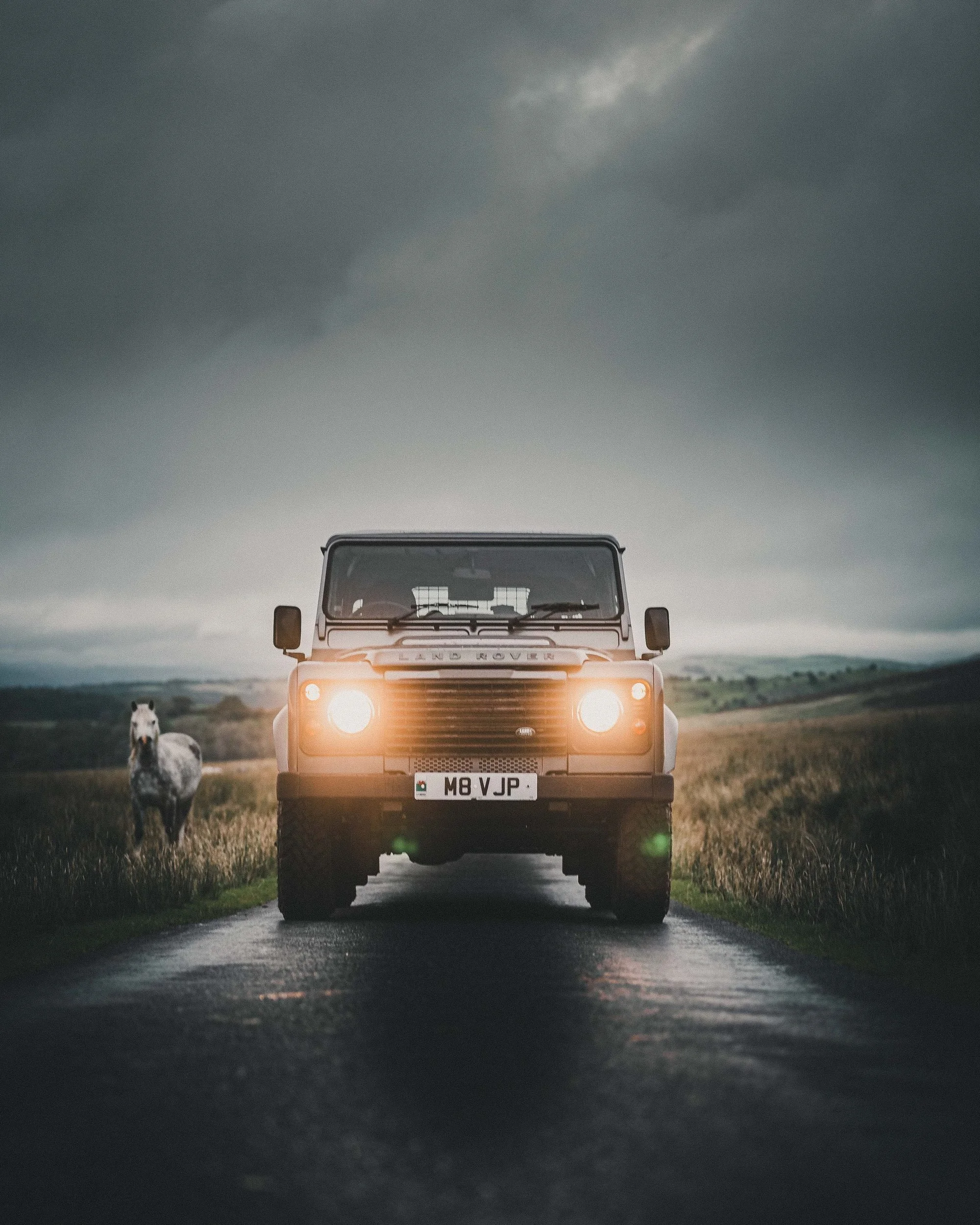 Land Rover Defender on a mountain road with a horse by the roadside, Bannau Brycheiniog