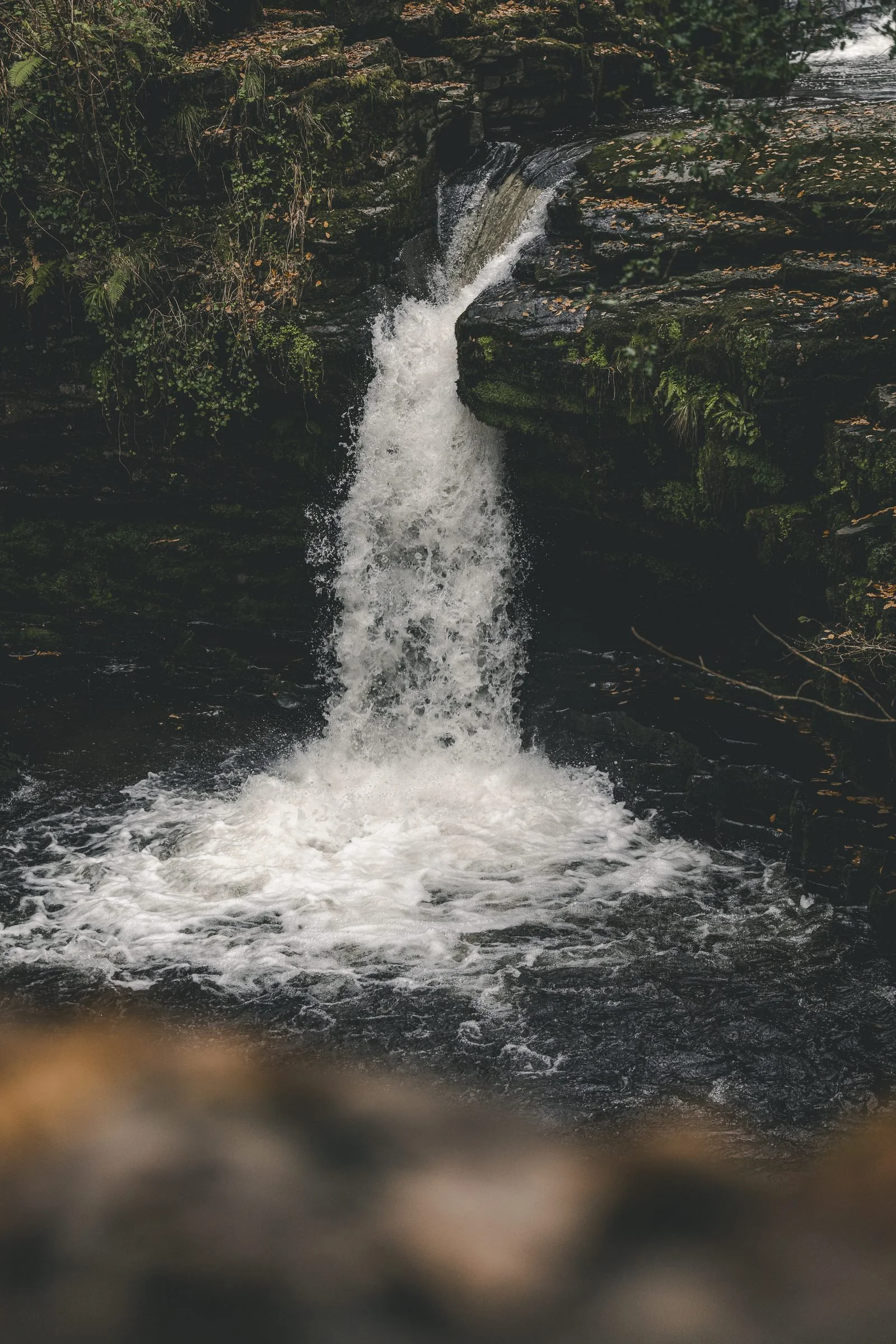 uwtsd-canyoneering-19.jpg