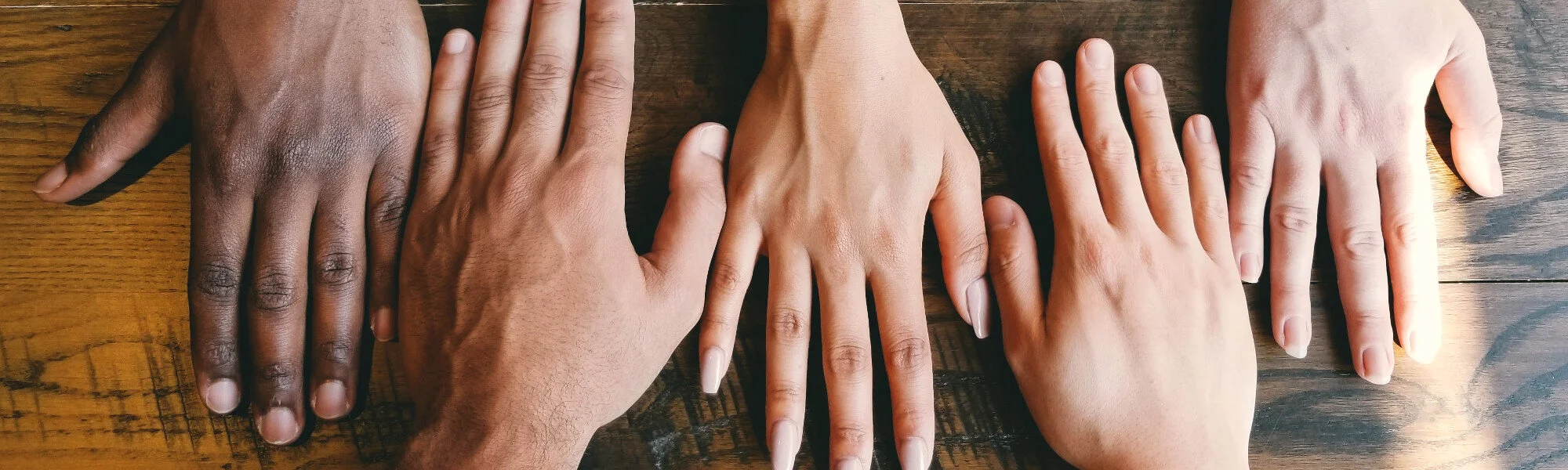 Hands Multi Races wide .jpg