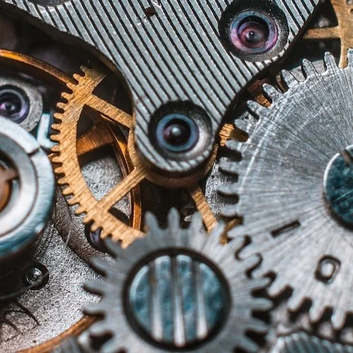 Virtue #2: Flourishing Churches Integrate New People – Ruth 1:16–17 and Matt. 4:18–22, 25:31-40