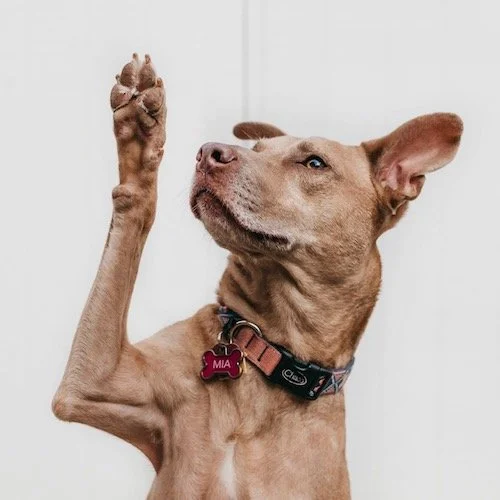 Virtue #4 – Reaching Out to Others – 4 Scripture Readings