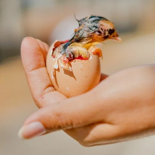 A Radical Change of Thought and Life – Luke 24:28-53