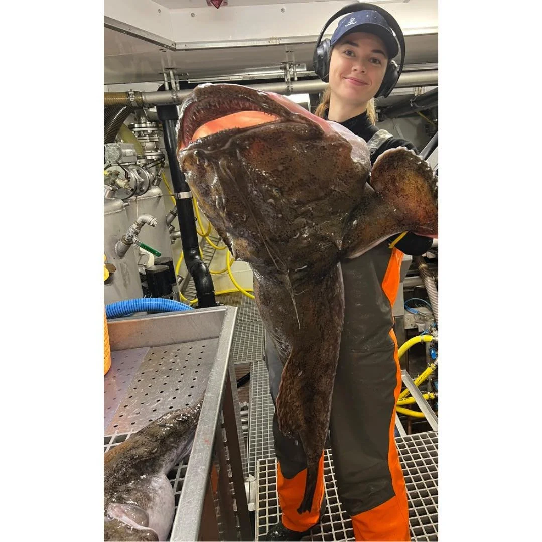 Not all seafood media tells the full story — the facts about Frozen at Sea.