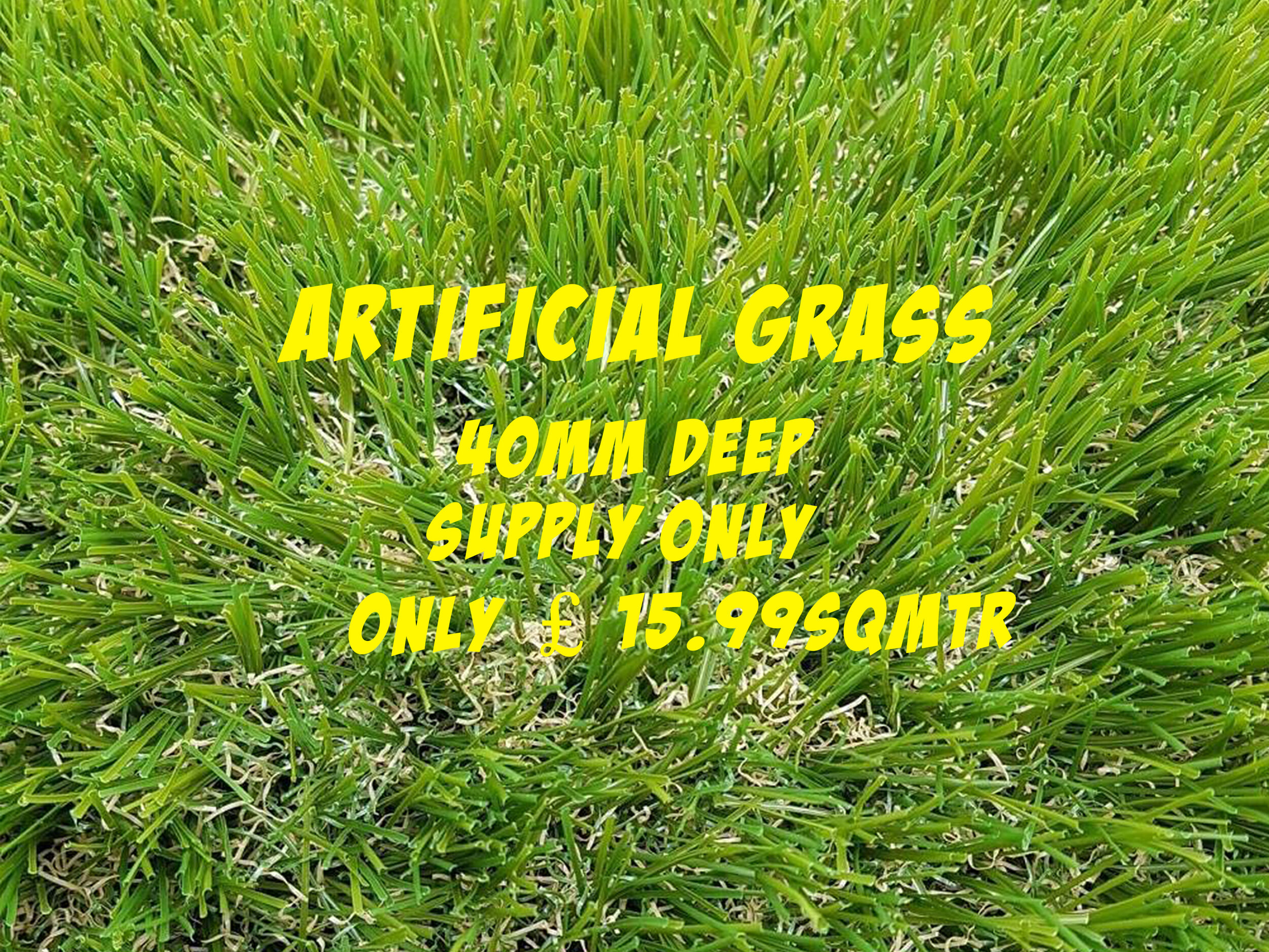 grass.jpg