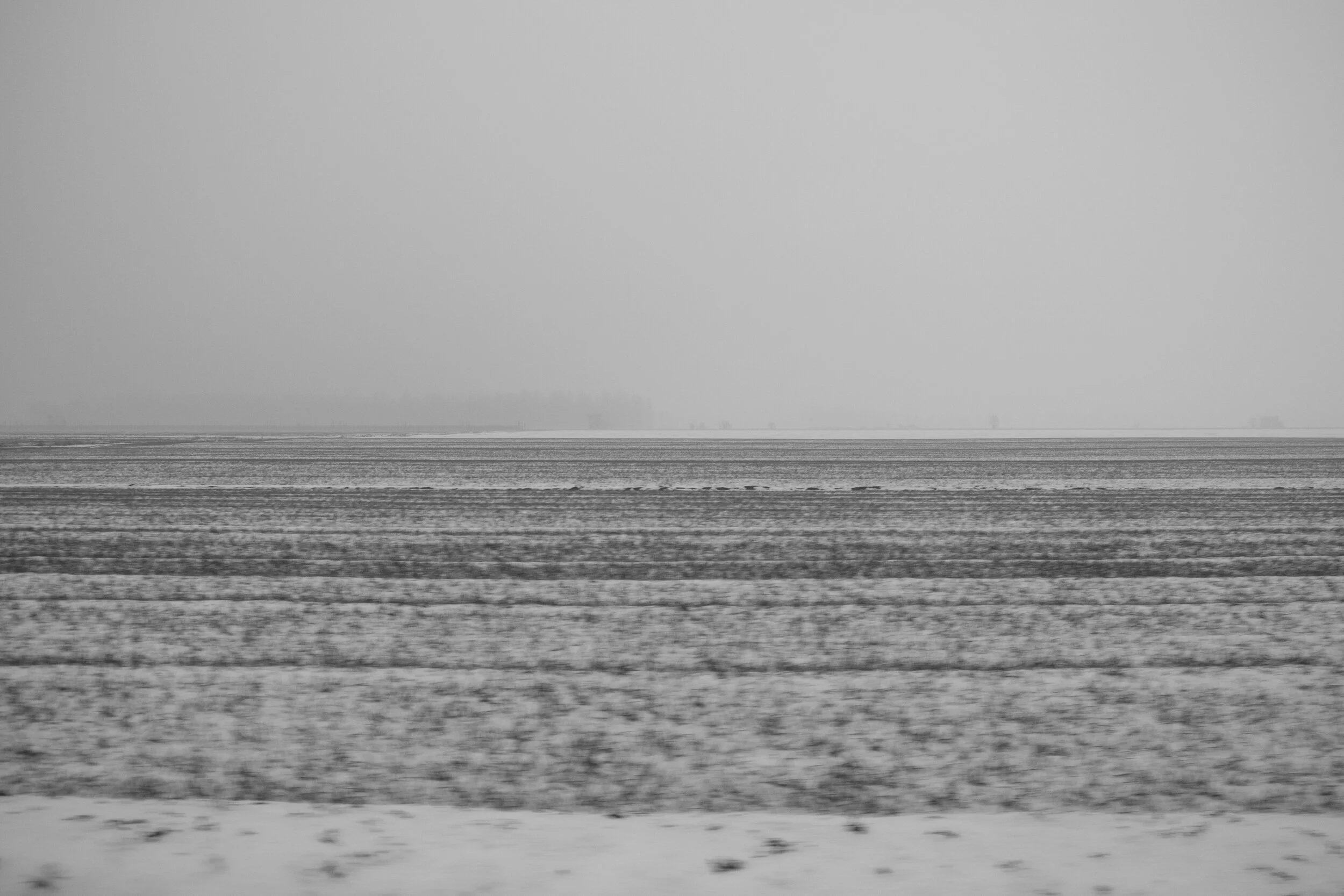 03032018-_V7A1207.jpg