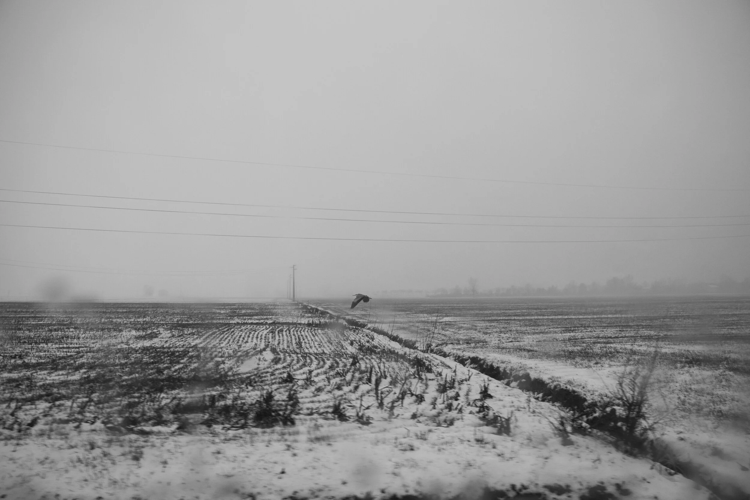 03032018-_V7A1210.jpg