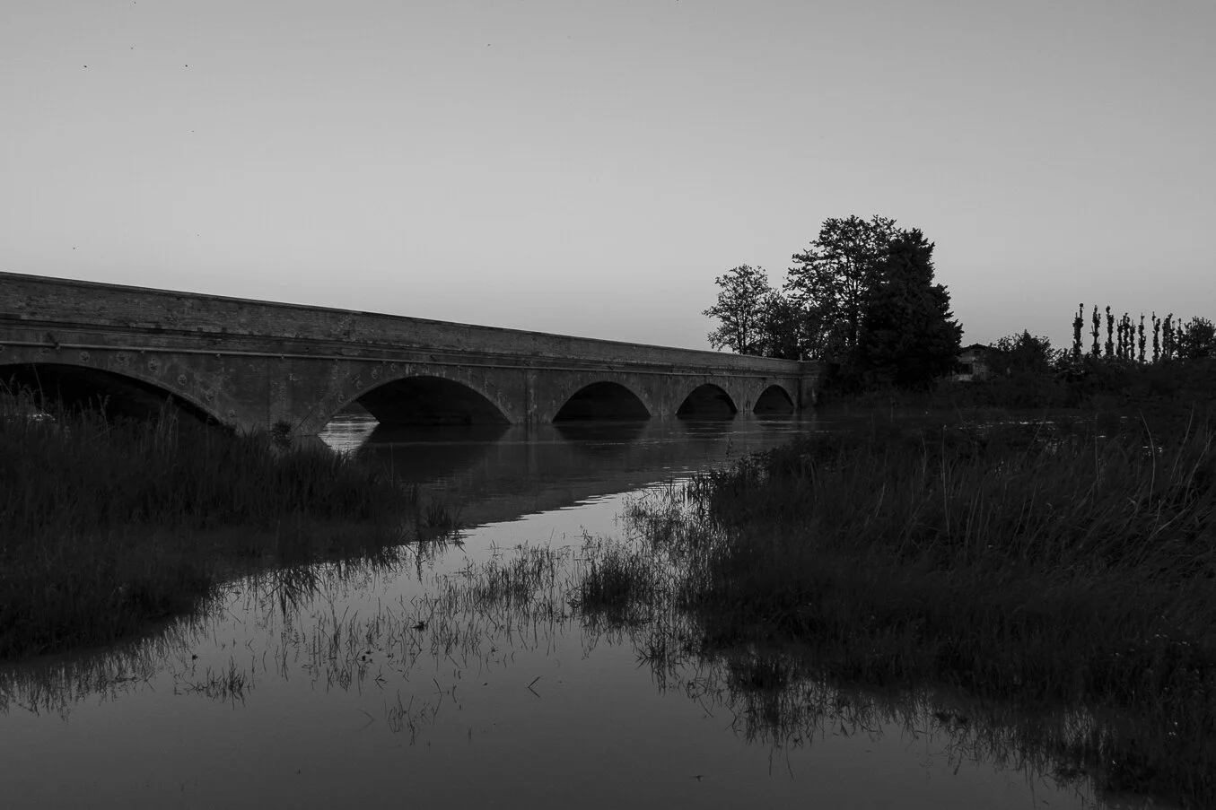 06052019-_V7A7090.jpg