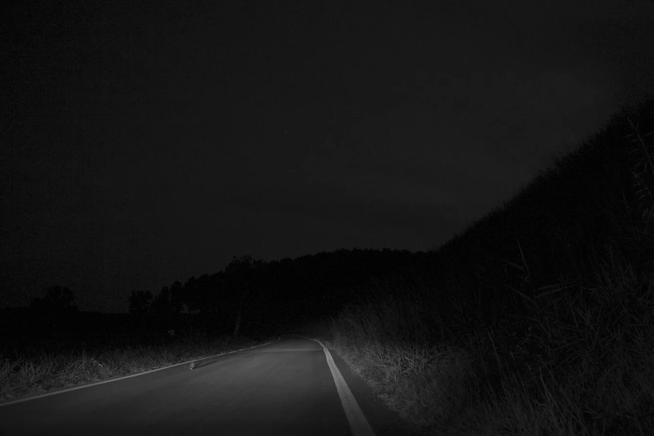12082018-_V7A3900.jpg