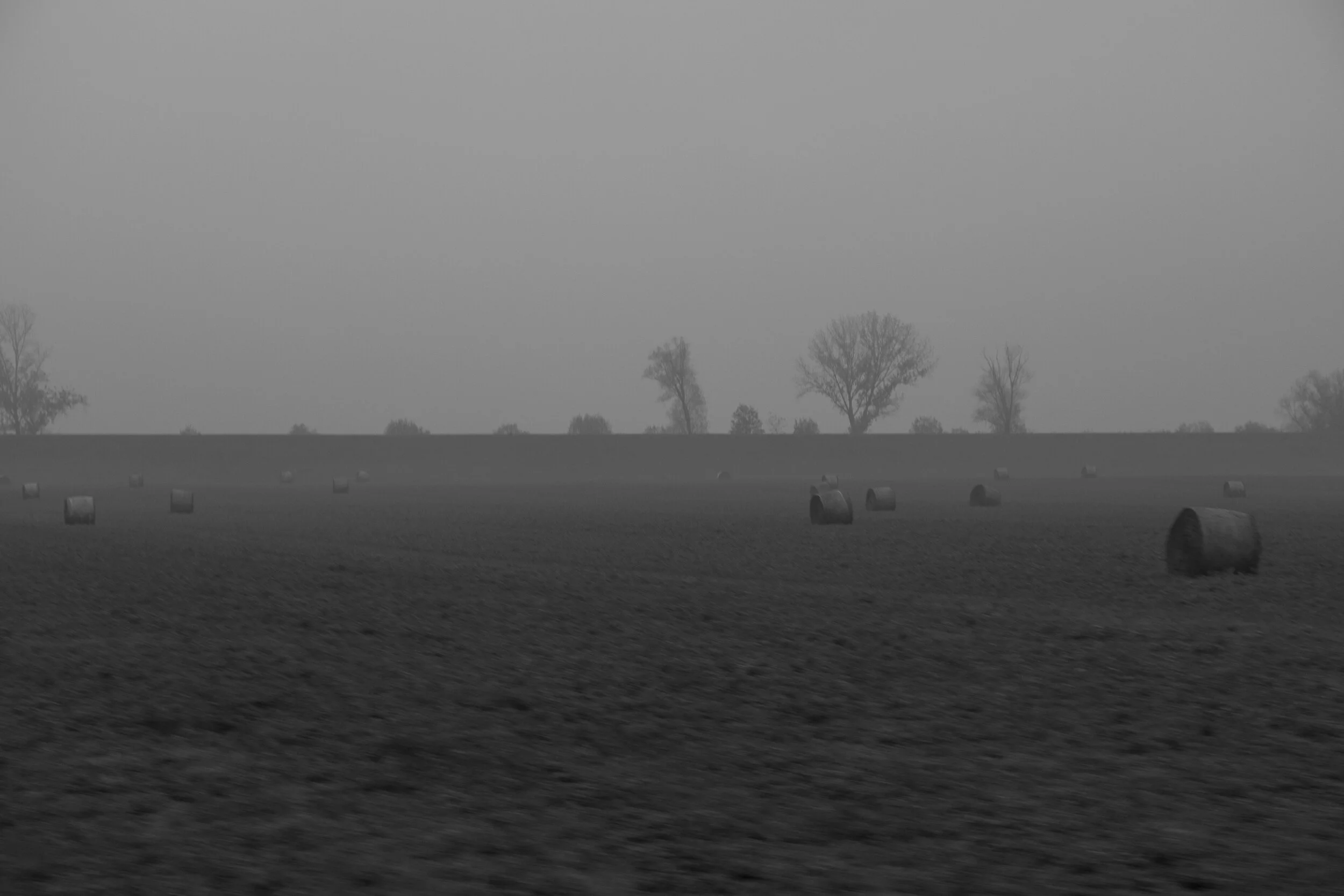 12112017-OV7A9935.jpg