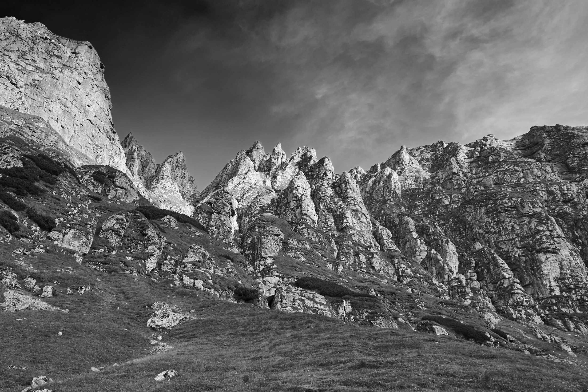  © Alexandru Prepeliță | Alle Rechte vorbehalten. 