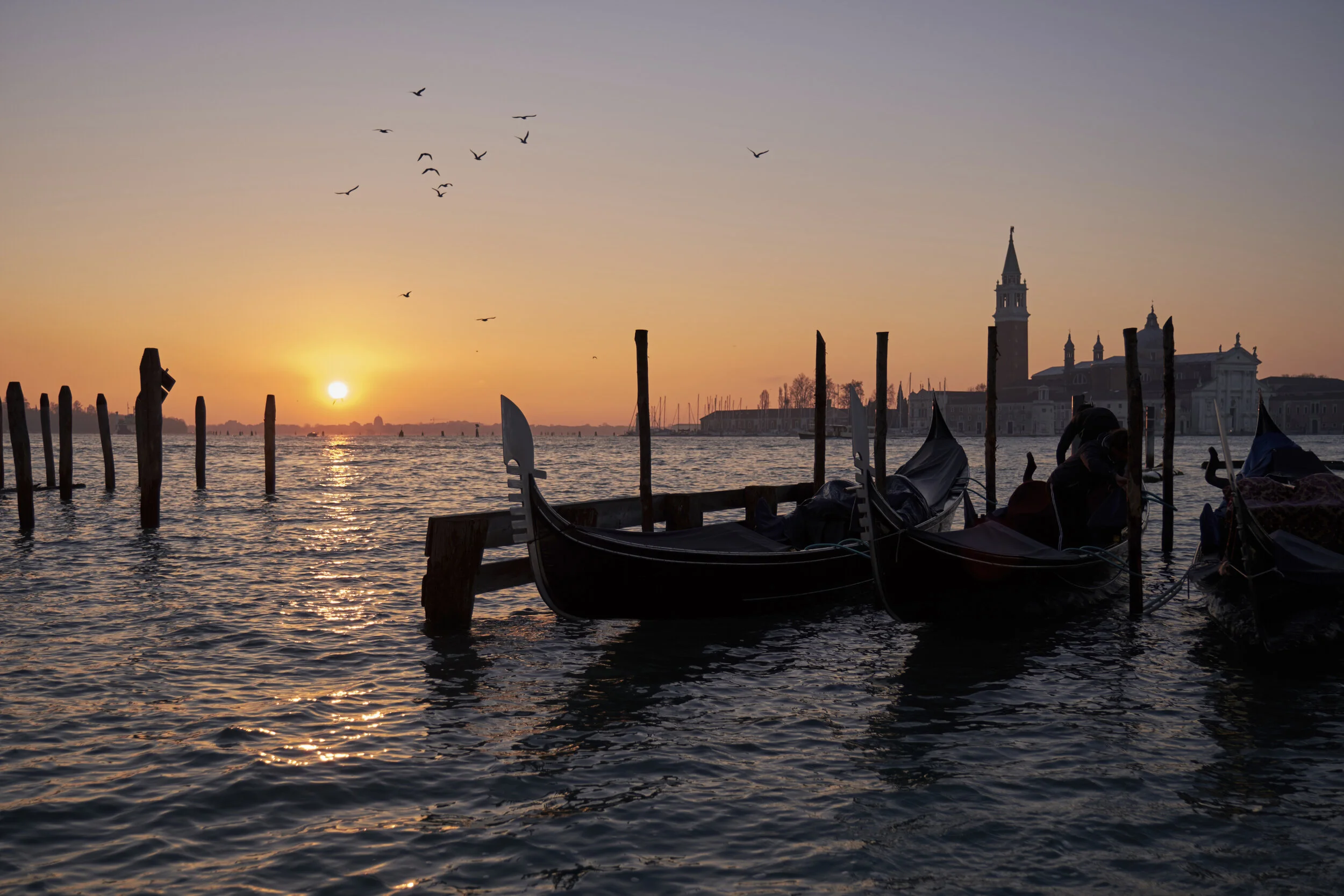  © Alexandru Prepeliță | Alle Rechte vorbehalten. 