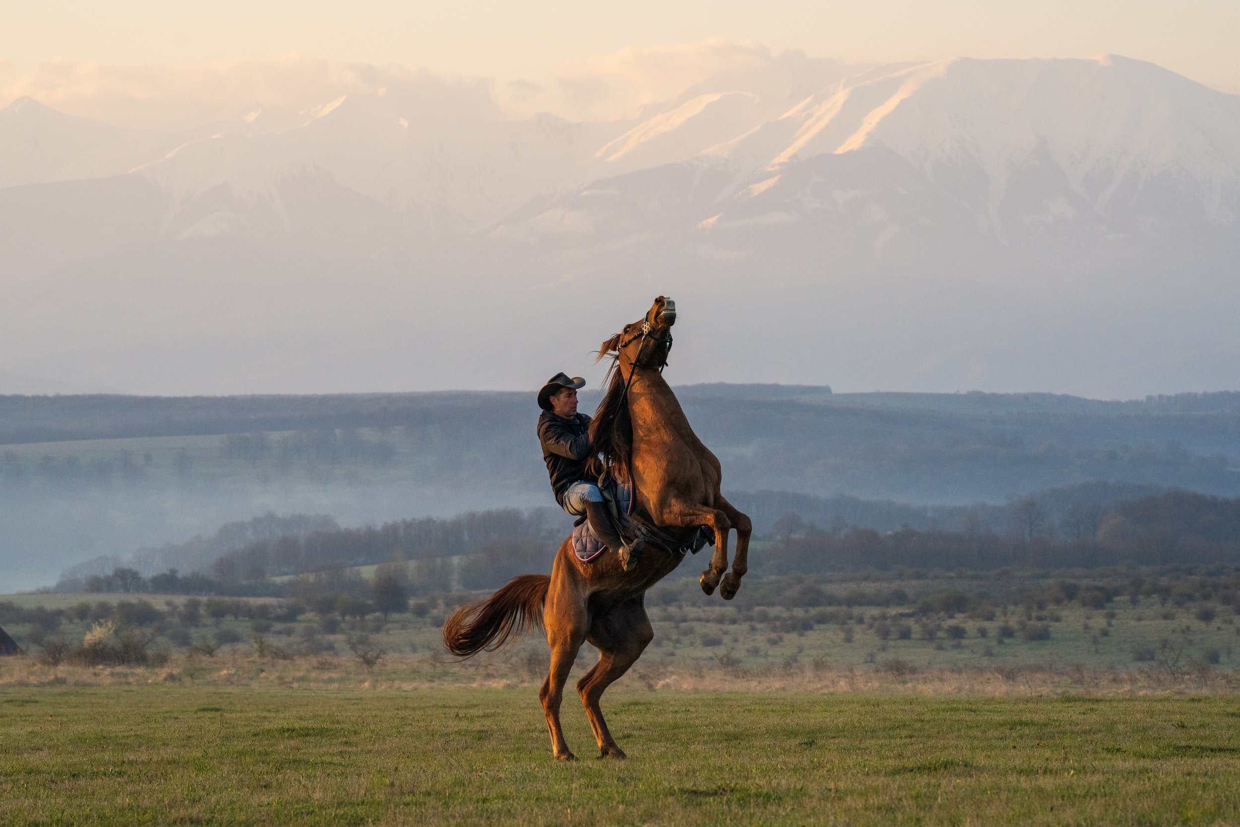  © Alexandru Prepeliță | Alle Rechte vorbehalten. 