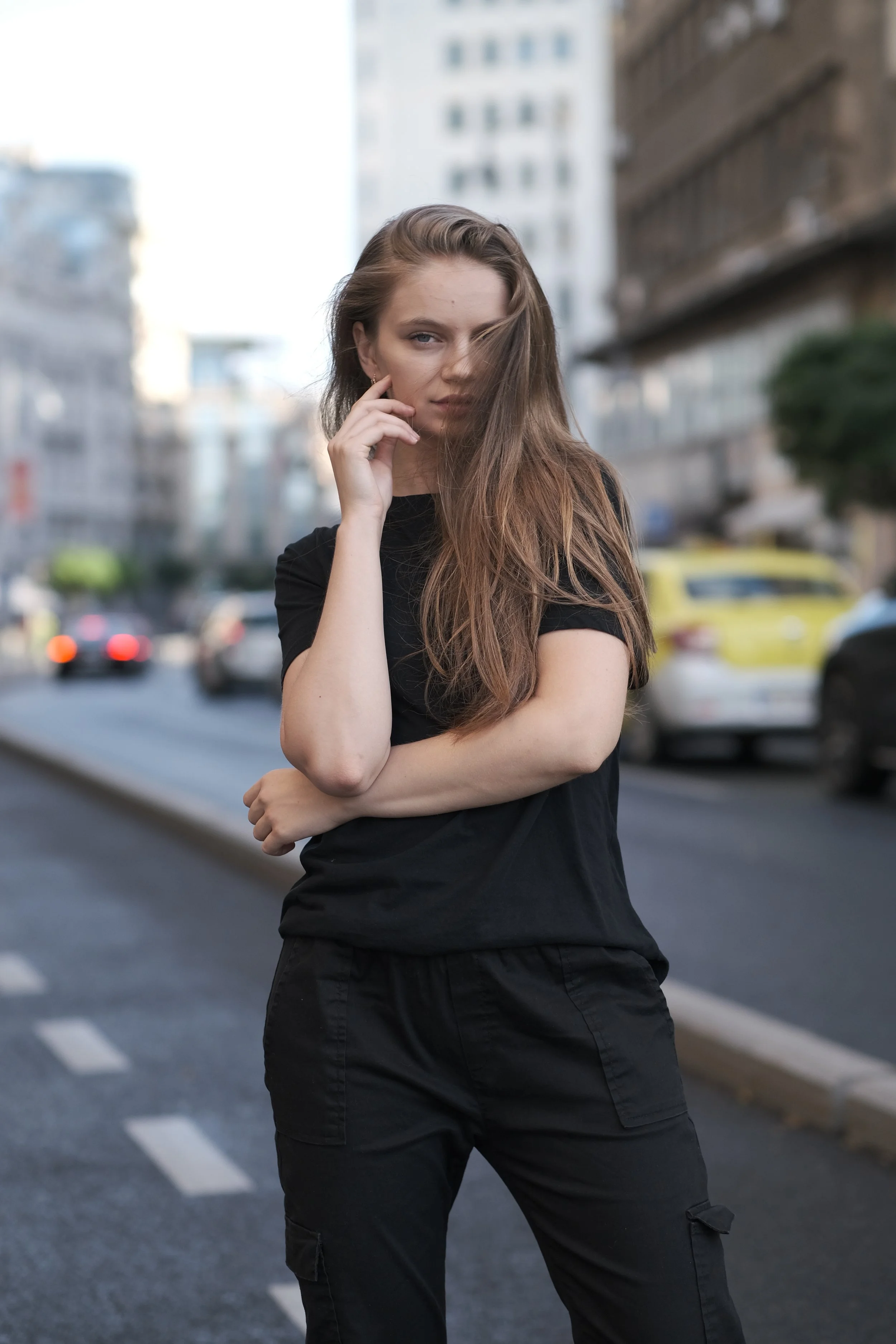  © Alexandru Prepeliță | Alle Rechte vorbehalten. 