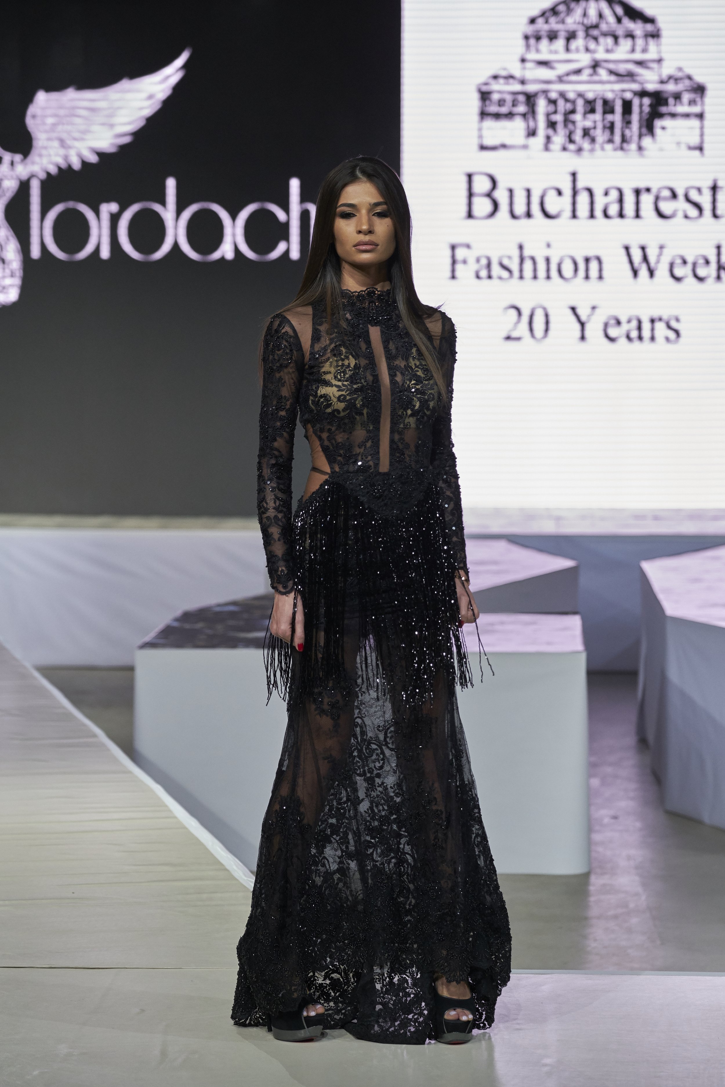  © Alexandru Prepeliță | Alle Rechte vorbehalten. 