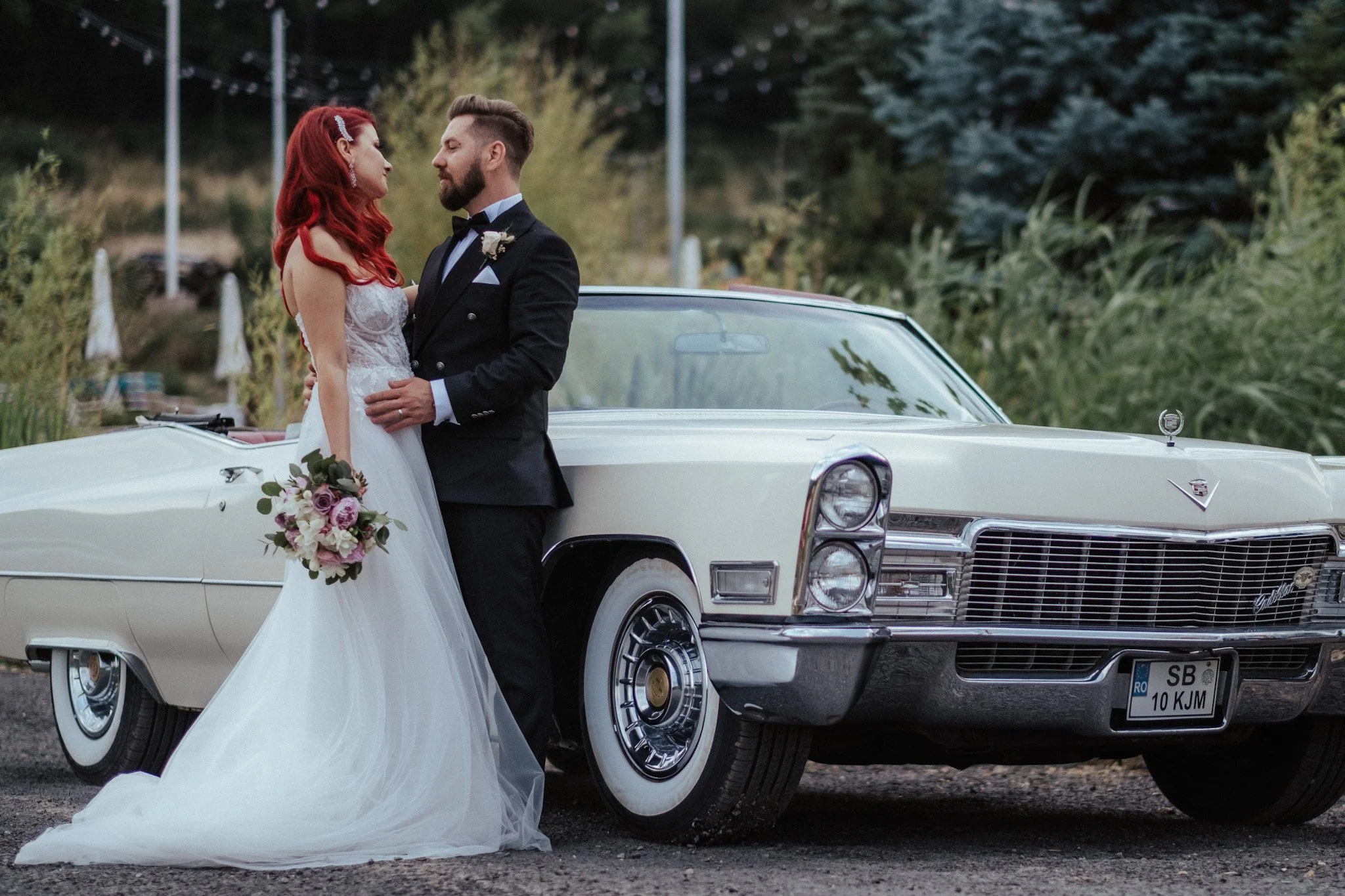  © Alexandru Prepeliță | Alle Rechte vorbehalten. 