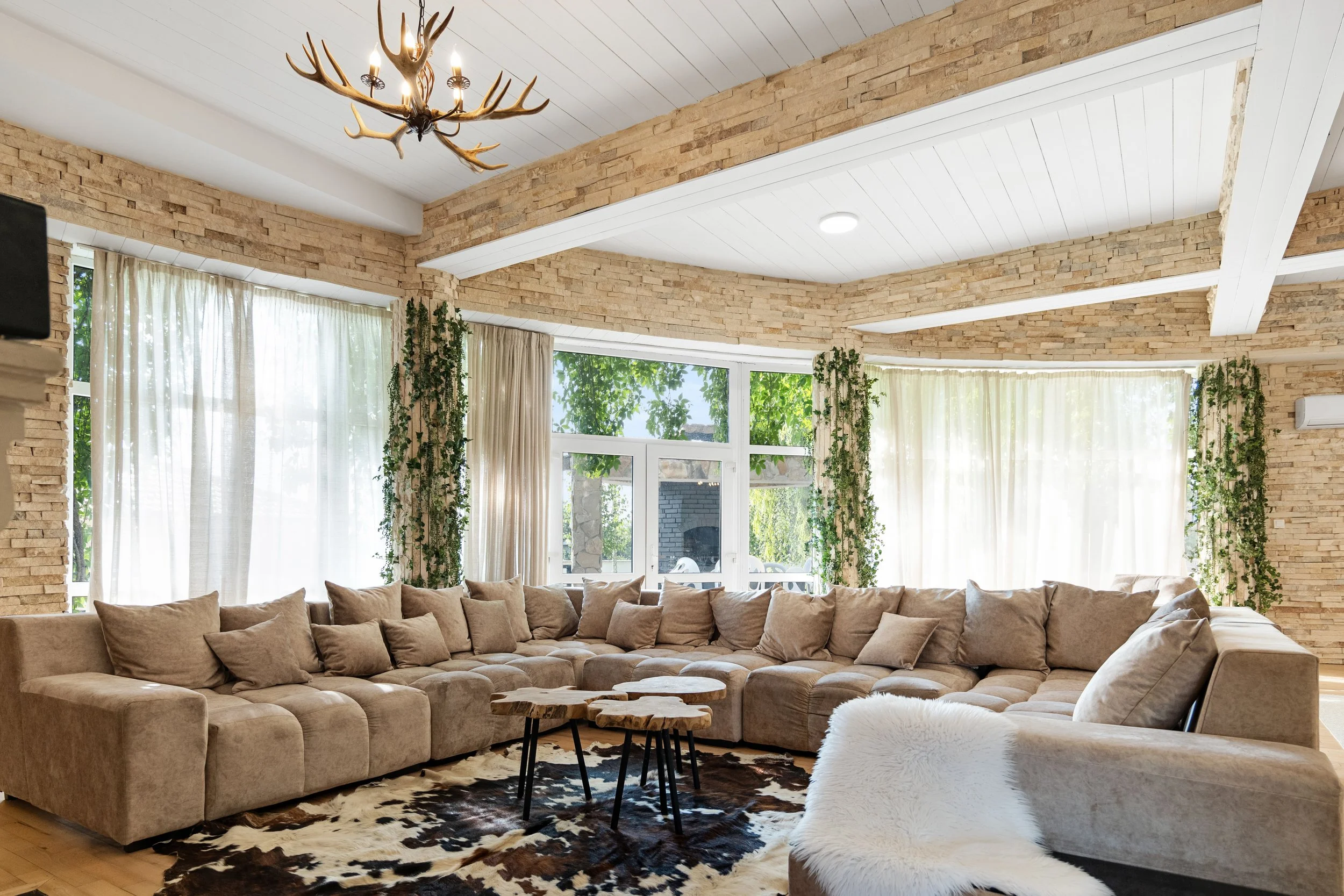  © Alexandru Prepeliță | Alle Rechte vorbehalten. 