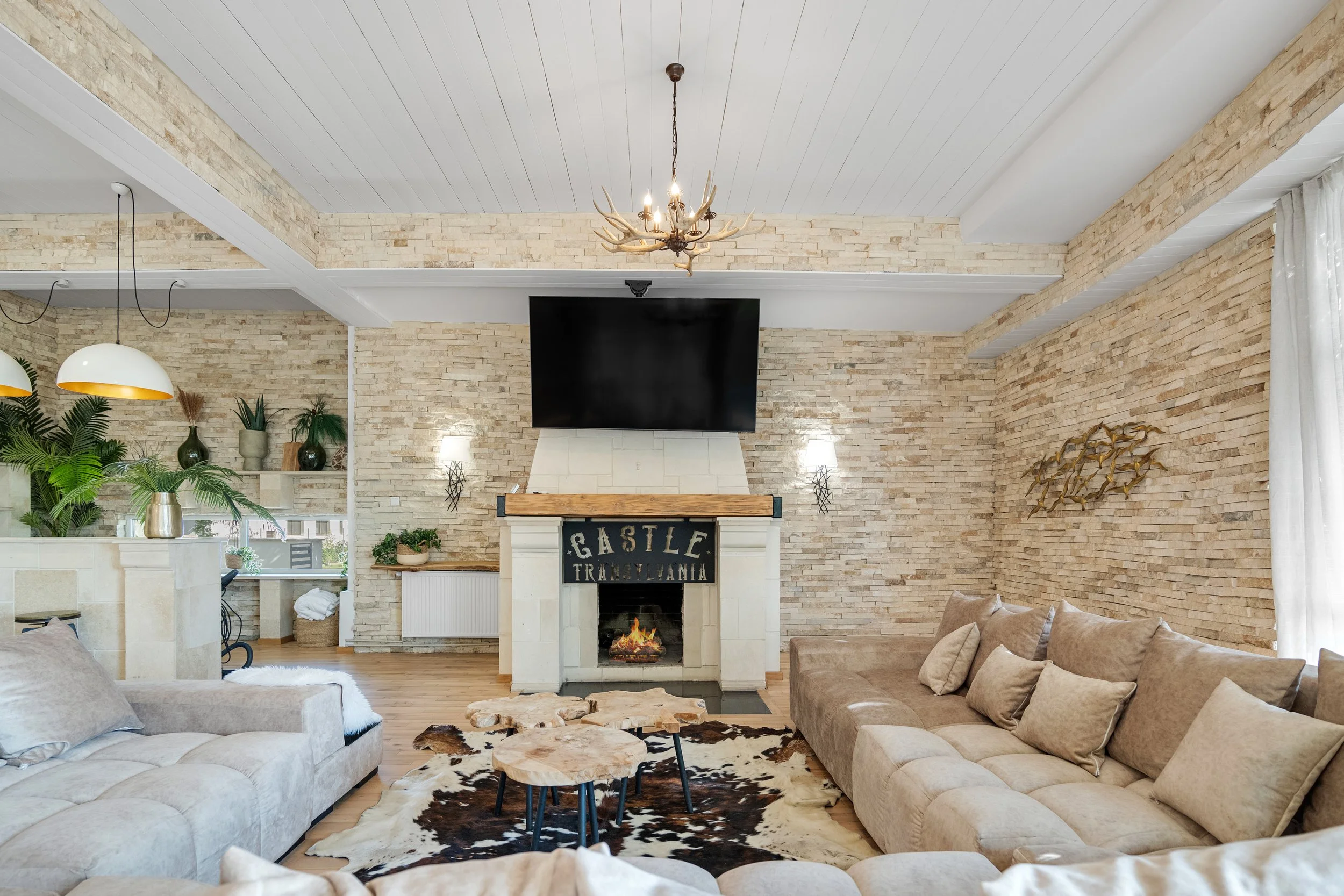  © Alexandru Prepeliță | Alle Rechte vorbehalten. 