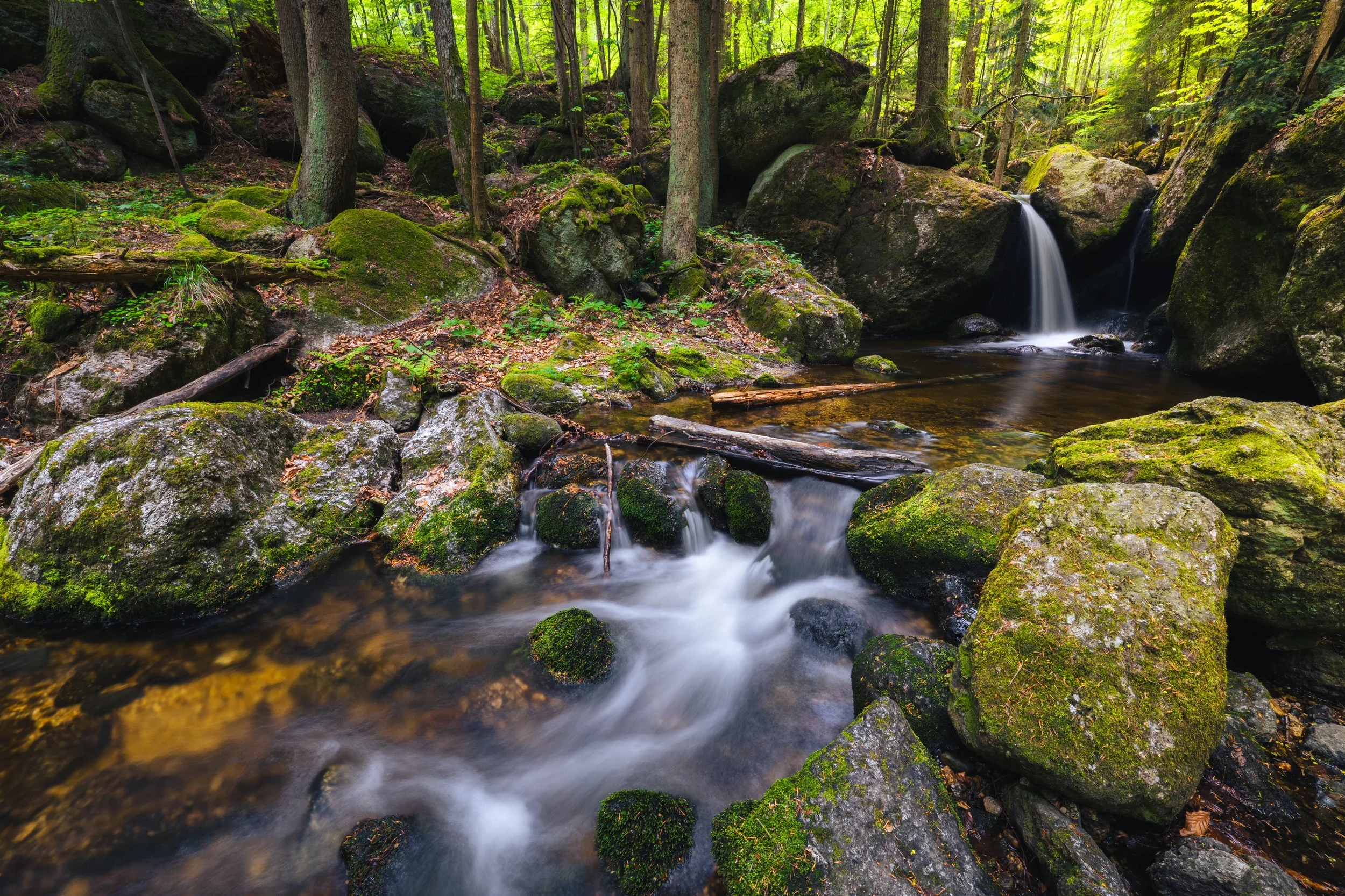  © Alexandru Prepeliță | Alle Rechte vorbehalten. 