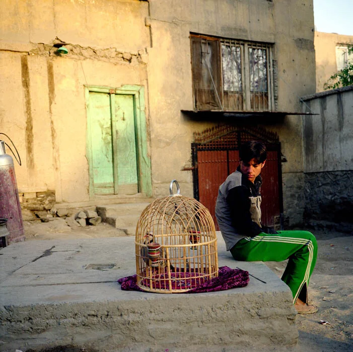 AfghanSquared0003.jpg