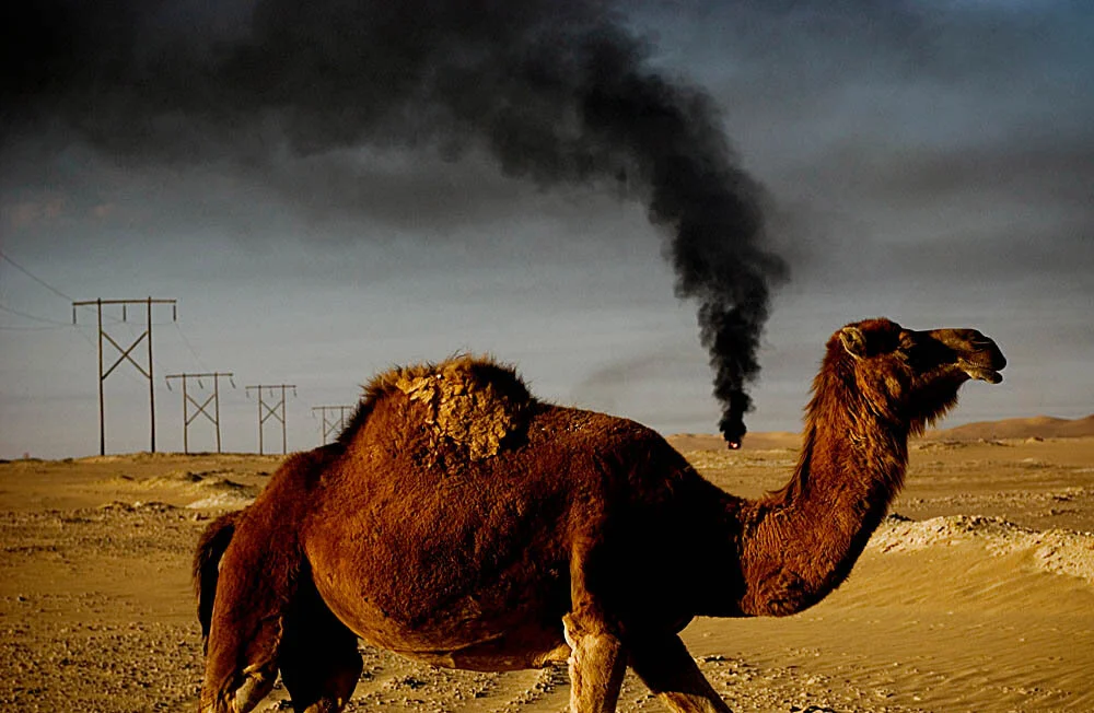 Libya0001.jpg