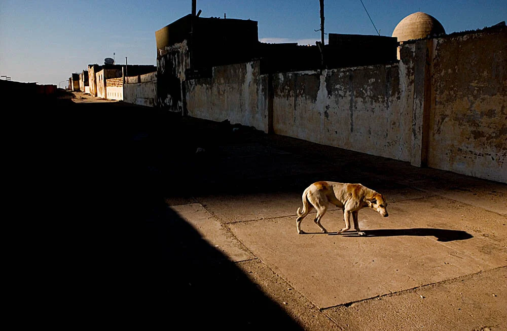 Libya0007.jpg