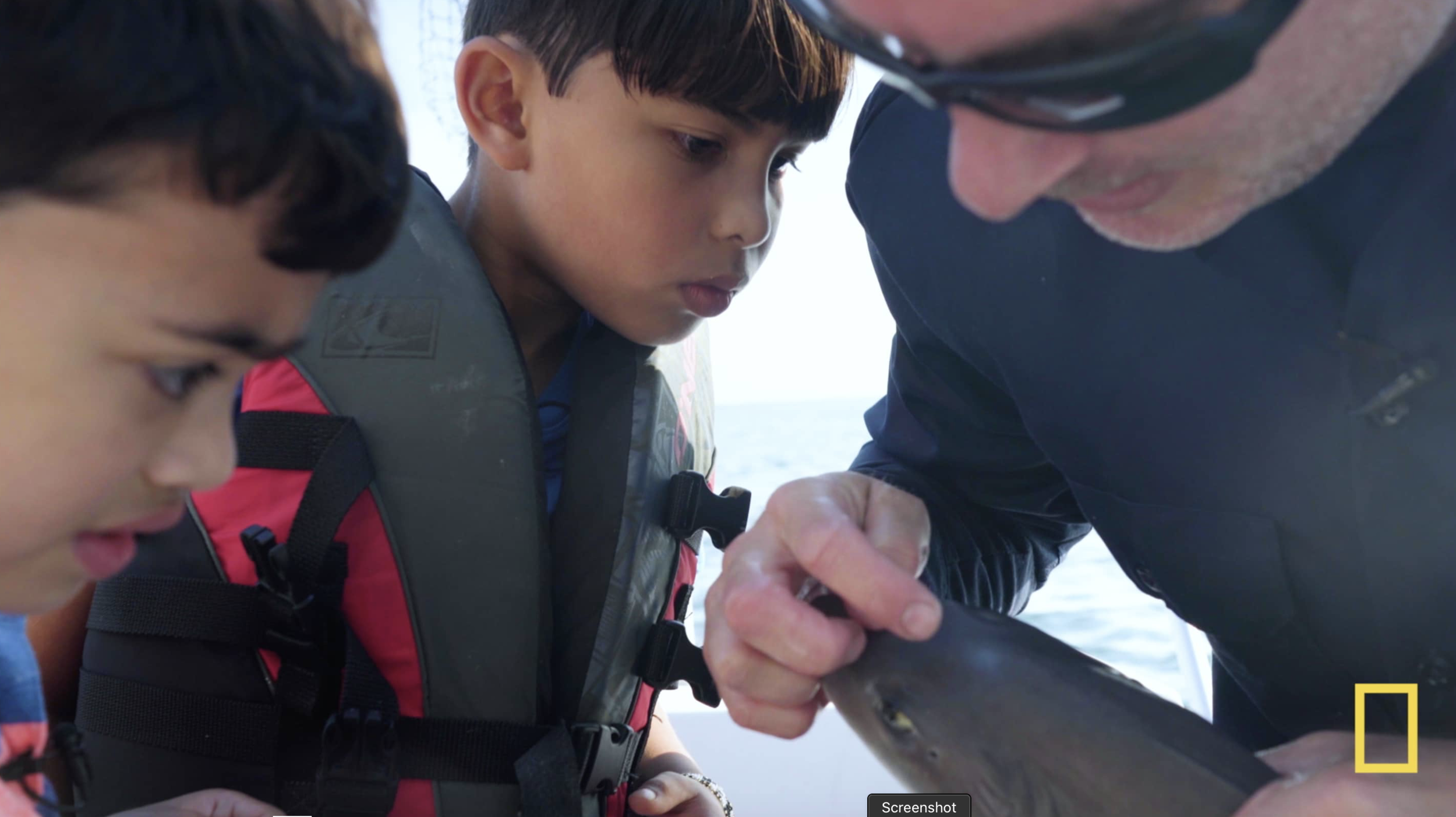 Screen Shot 2020-04-21 at 4.26.22 PM.png