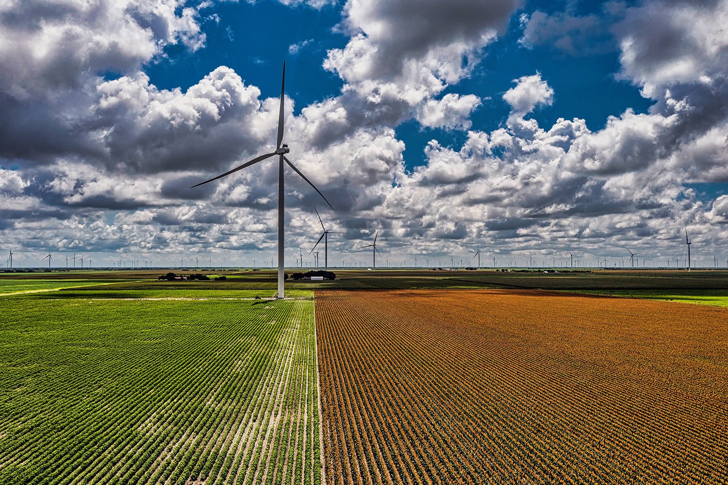 20230517_TXTribune_Windfarm_Drone_0051bSM.jpg