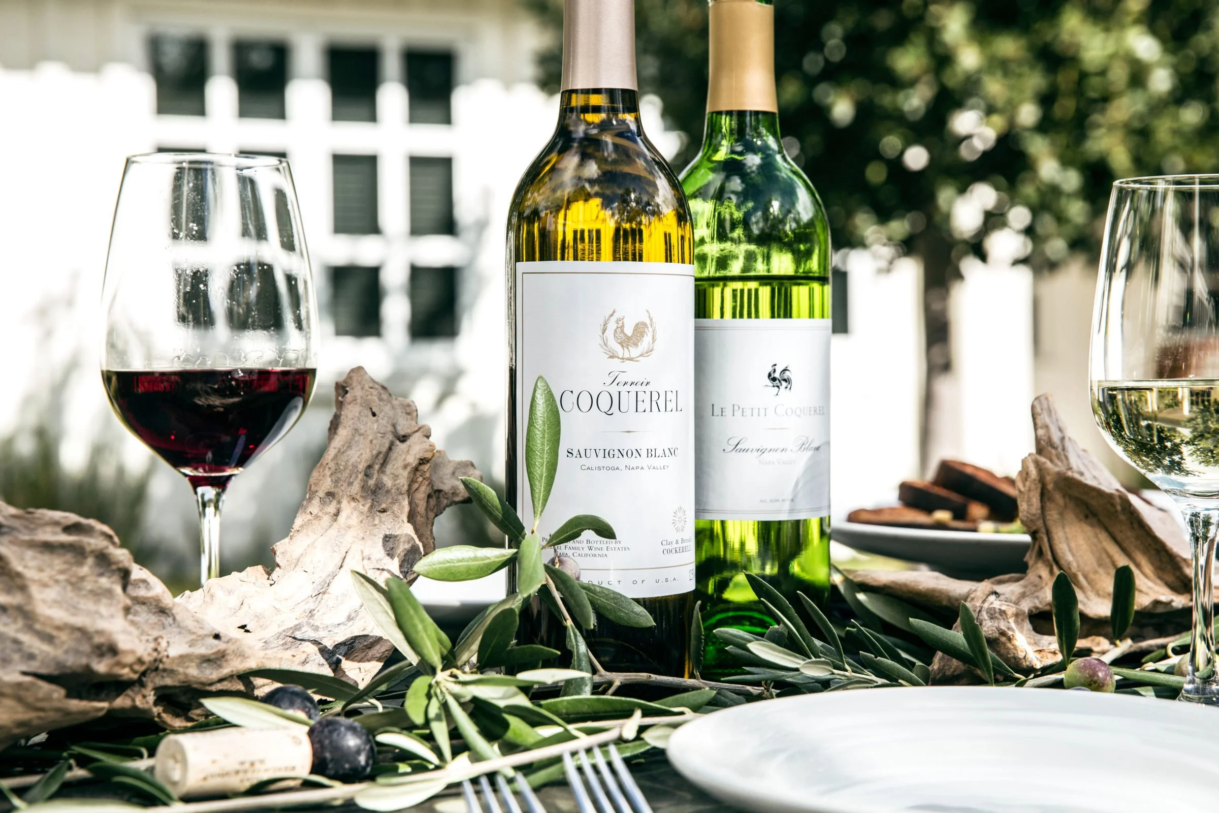 Charlotte — Bond Street Wines