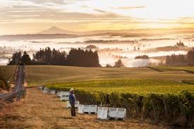 David Paige Wine Maker Event