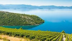 Weekend Wine Tasting Croatia