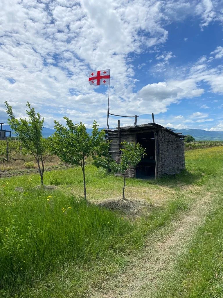 Wine Of Georgia