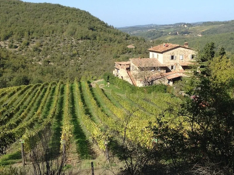 Weekend Wine Tasting Featuring wine from Caparsa Chianti, Italy