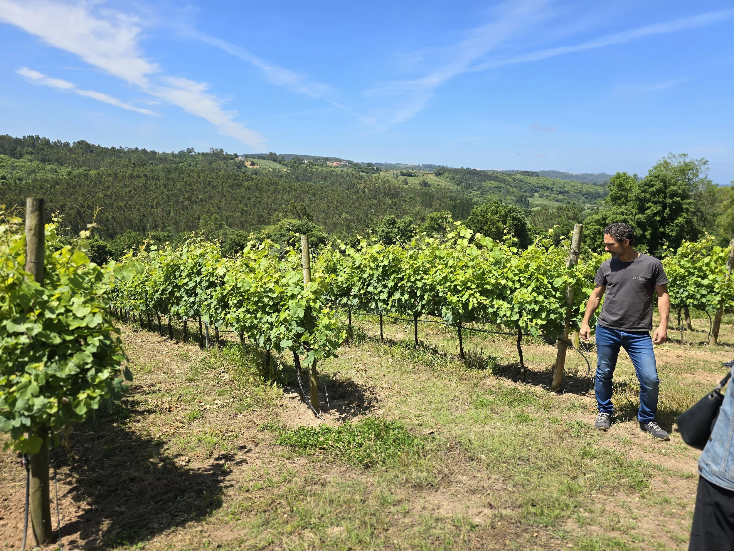 La Luz Wine Take Over with The Wine Makers of Favonious