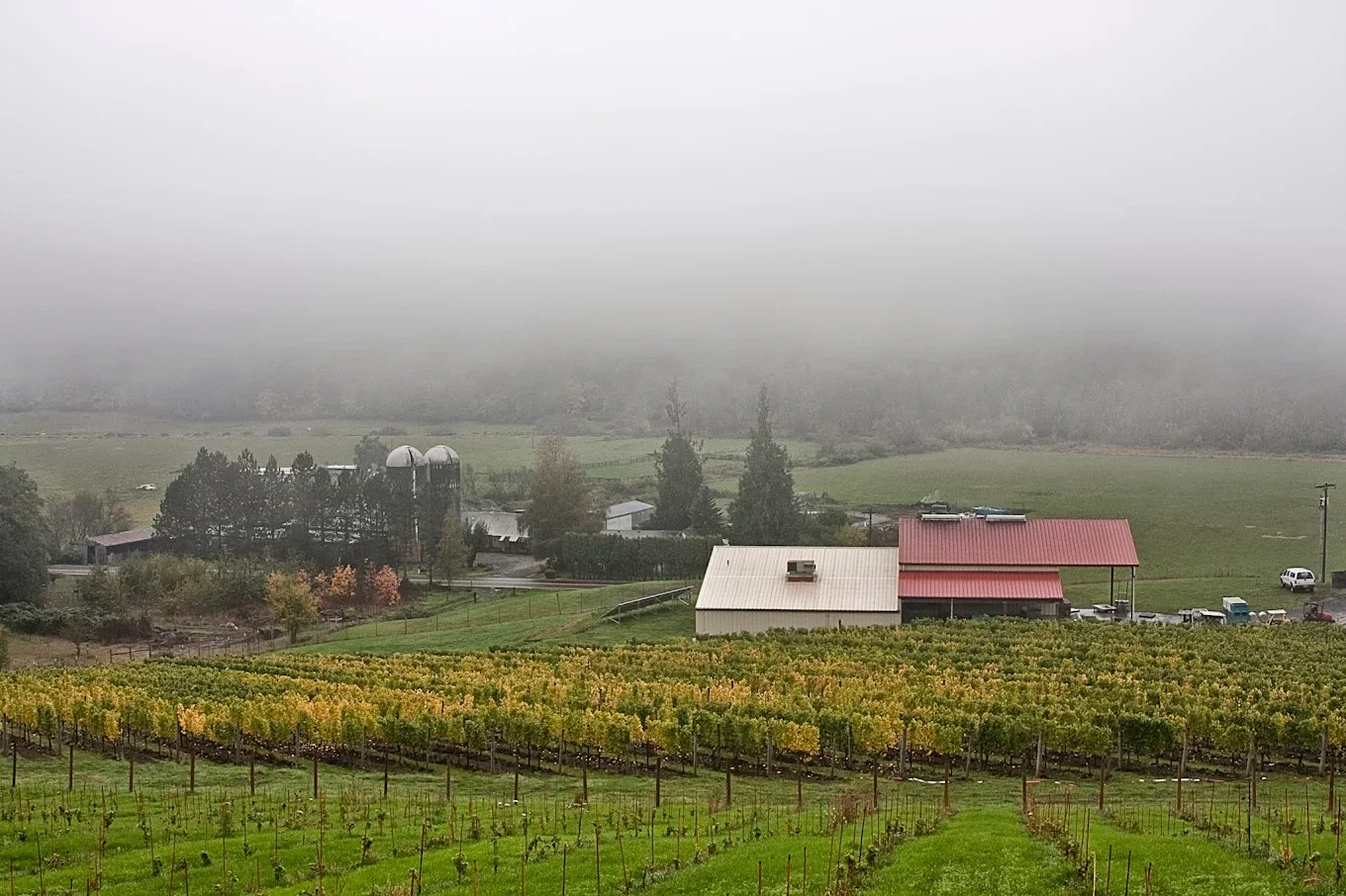 Wine Tasting: Patricia Green Cellars