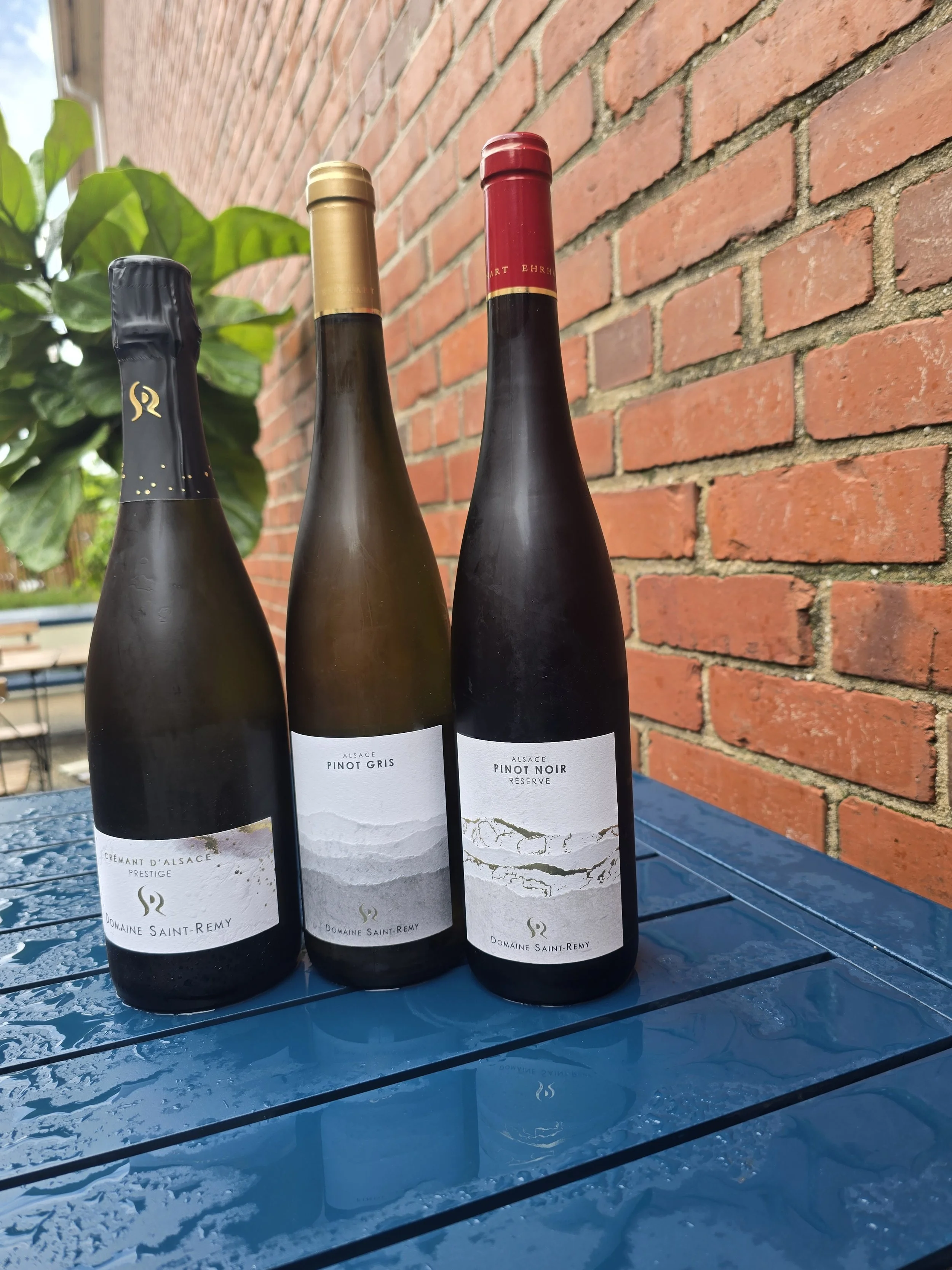 Weekend Wine Tasting Domanie Saint Remy