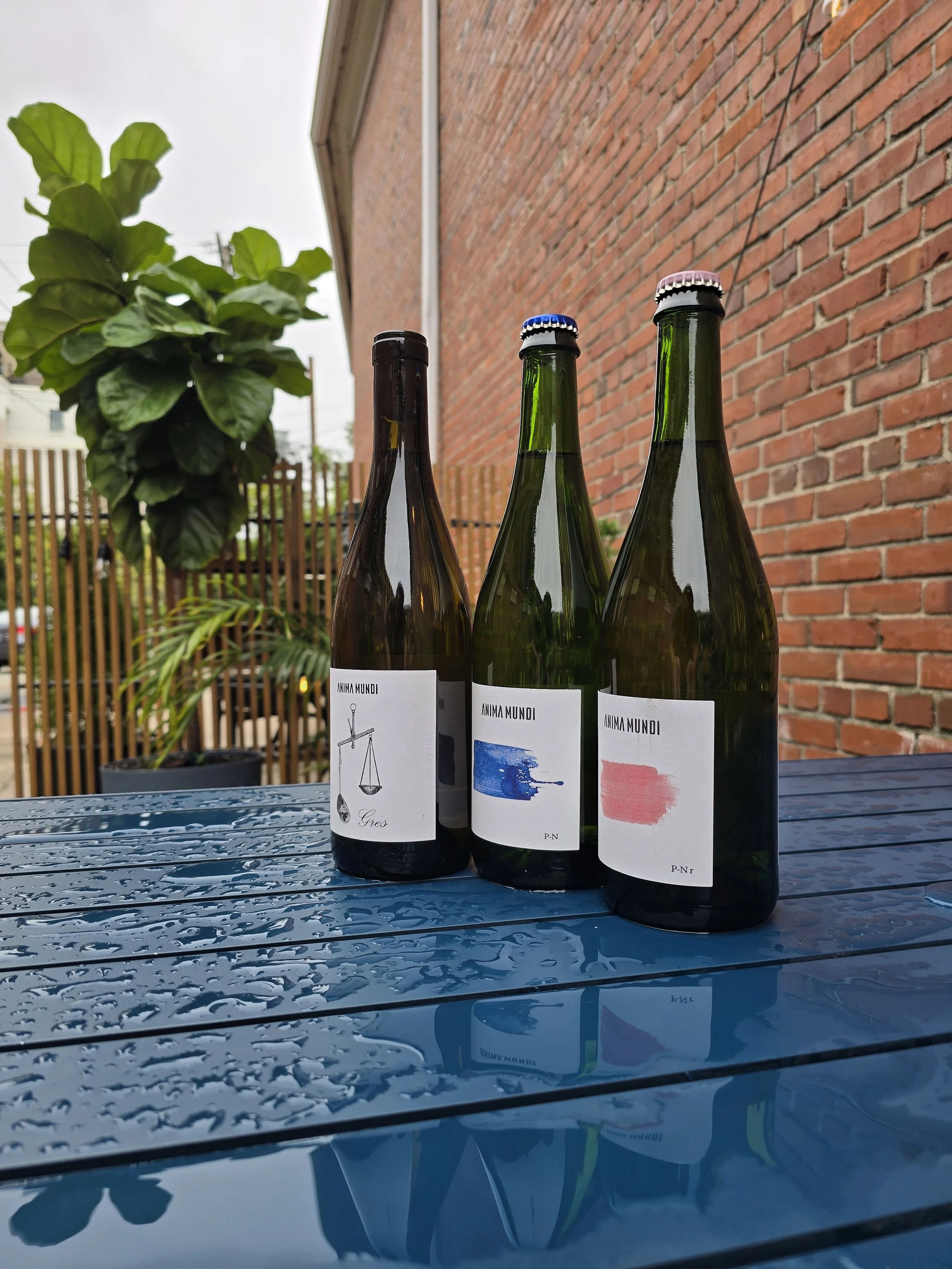 Weekend Wine Tasting Anima Mundi 