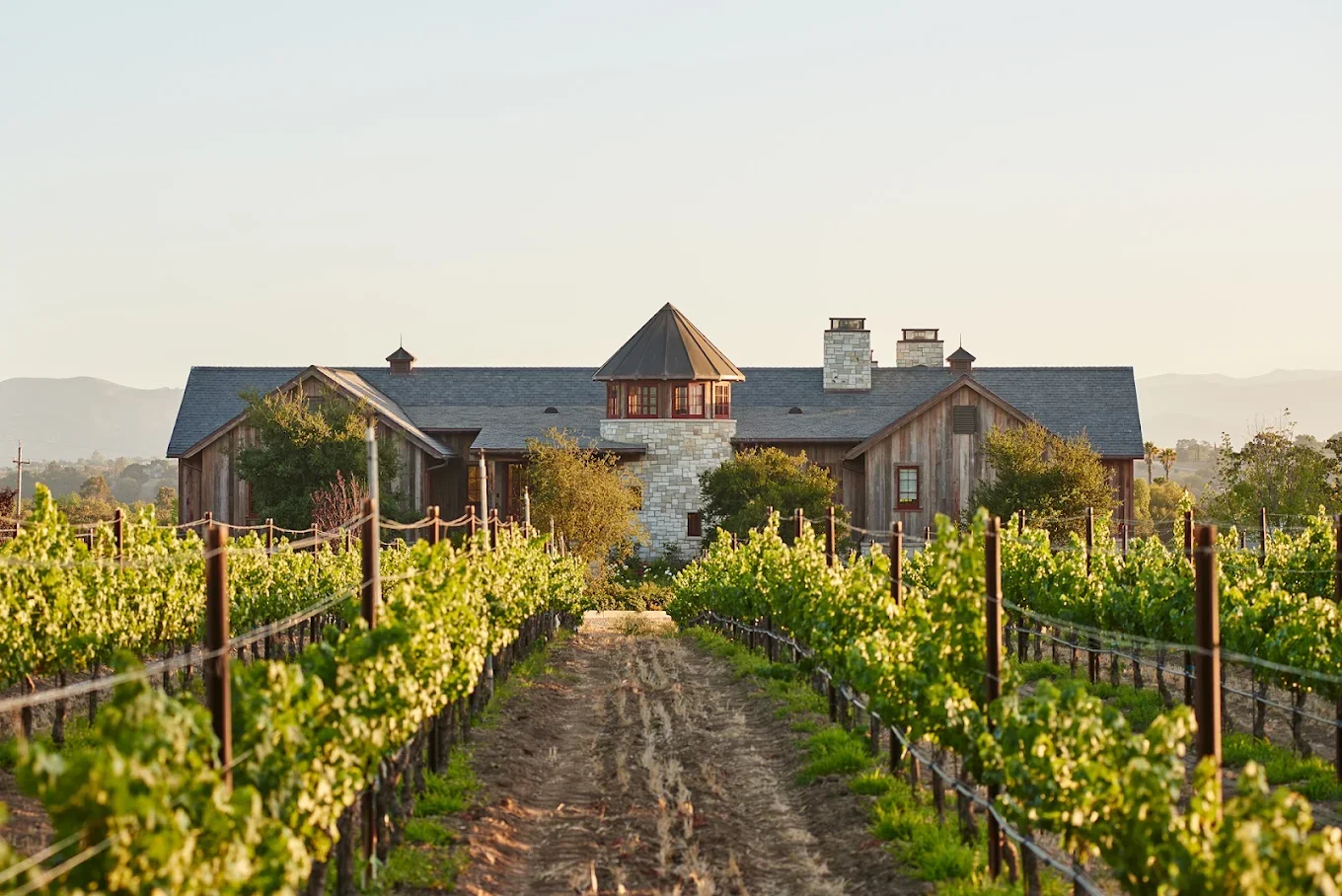 Winery Tasting: Beckmen Vineyards 