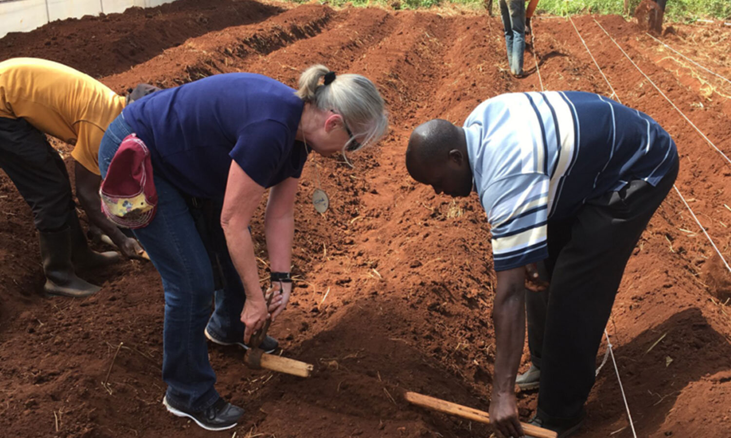  The Giving Exchange sowed seeds for a new garden. This garden will provide fresh produce to children in the community.  