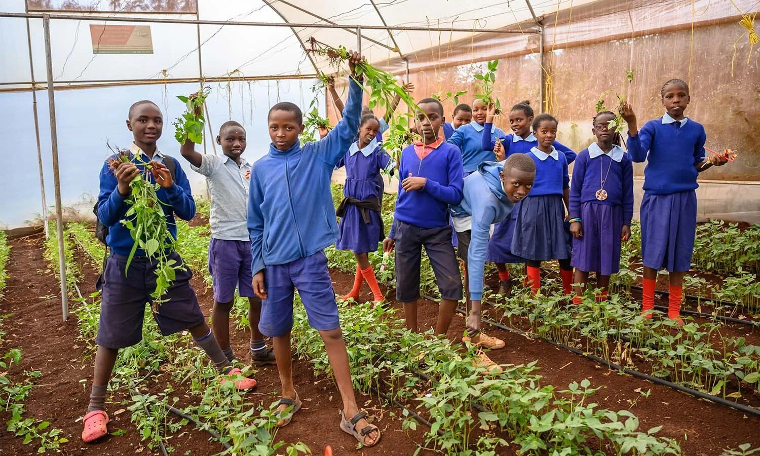 Tour du chapeau durable : les potagers