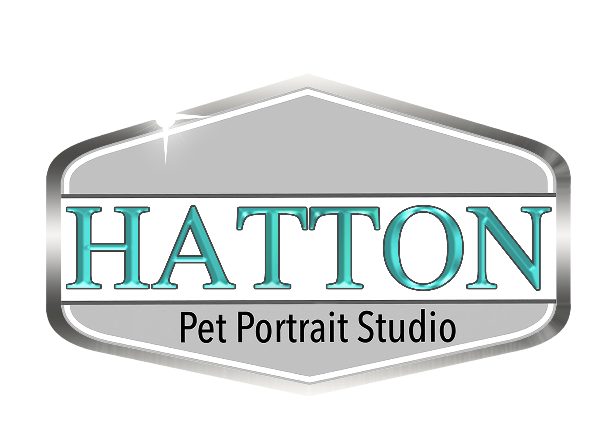 Hatton logo_Teal_LG.png