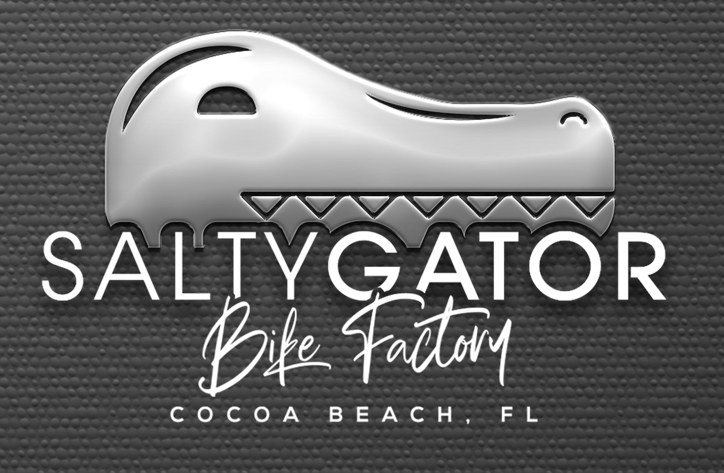 Salty Gator Bikes