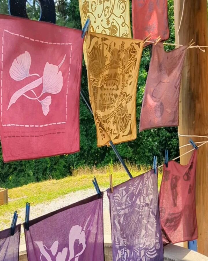 Turns out one week at @shakeragworkshops is just long enough to fall in love with Sewanee TN, meet a whole bunch of inspiring and generous fellow artists, dream up exciting new patterns, test out six natural dyes and seven different mordants, hike an