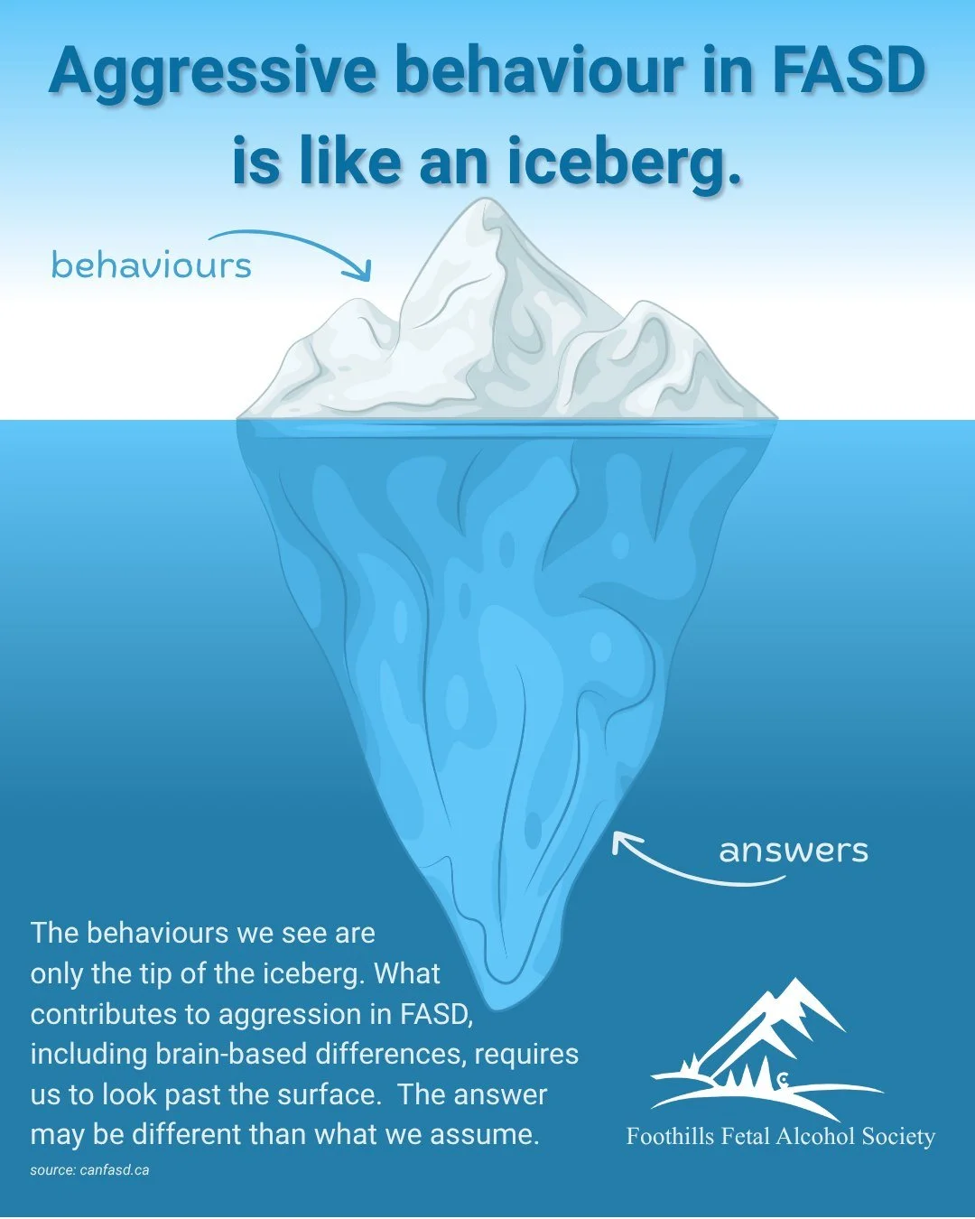 What we see on the surface is often just the tip of the iceberg.

Aggression in FASD isn&rsquo;t always what it seems&mdash;it can be the result of brain-based differences, sensory overload, or challenges with regulation and communication.

As one ca