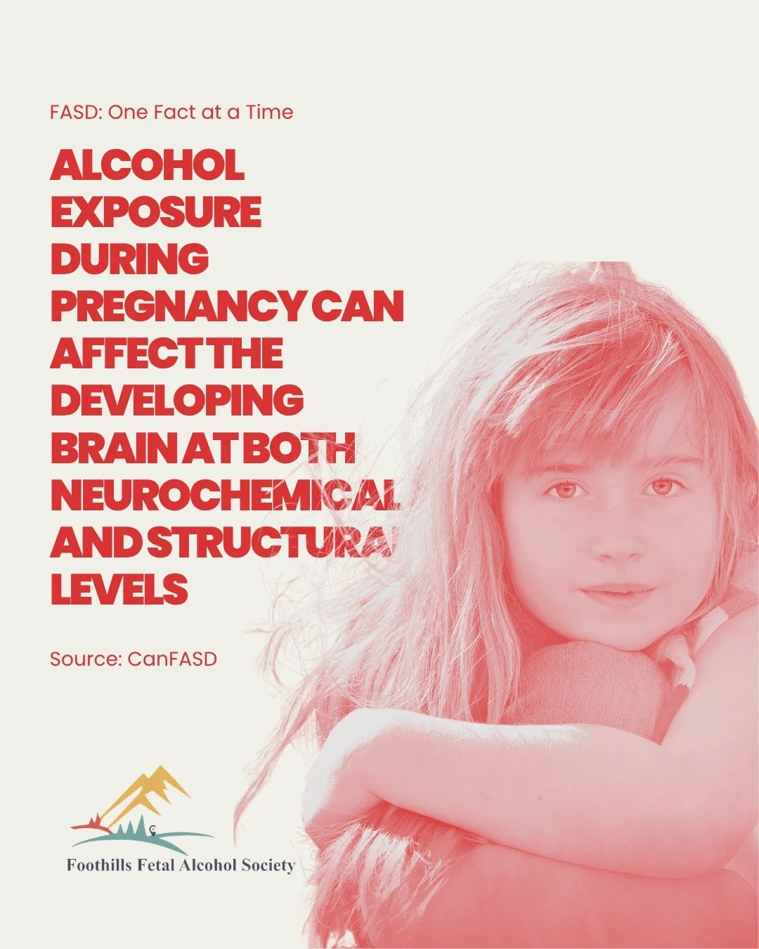 The brain begins developing long before birth. 🧠

Alcohol exposure during pregnancy can affect the developing brain at both neurochemical and structural levels.

In simple terms, prenatal alcohol exposure can influence not only how the brain develop