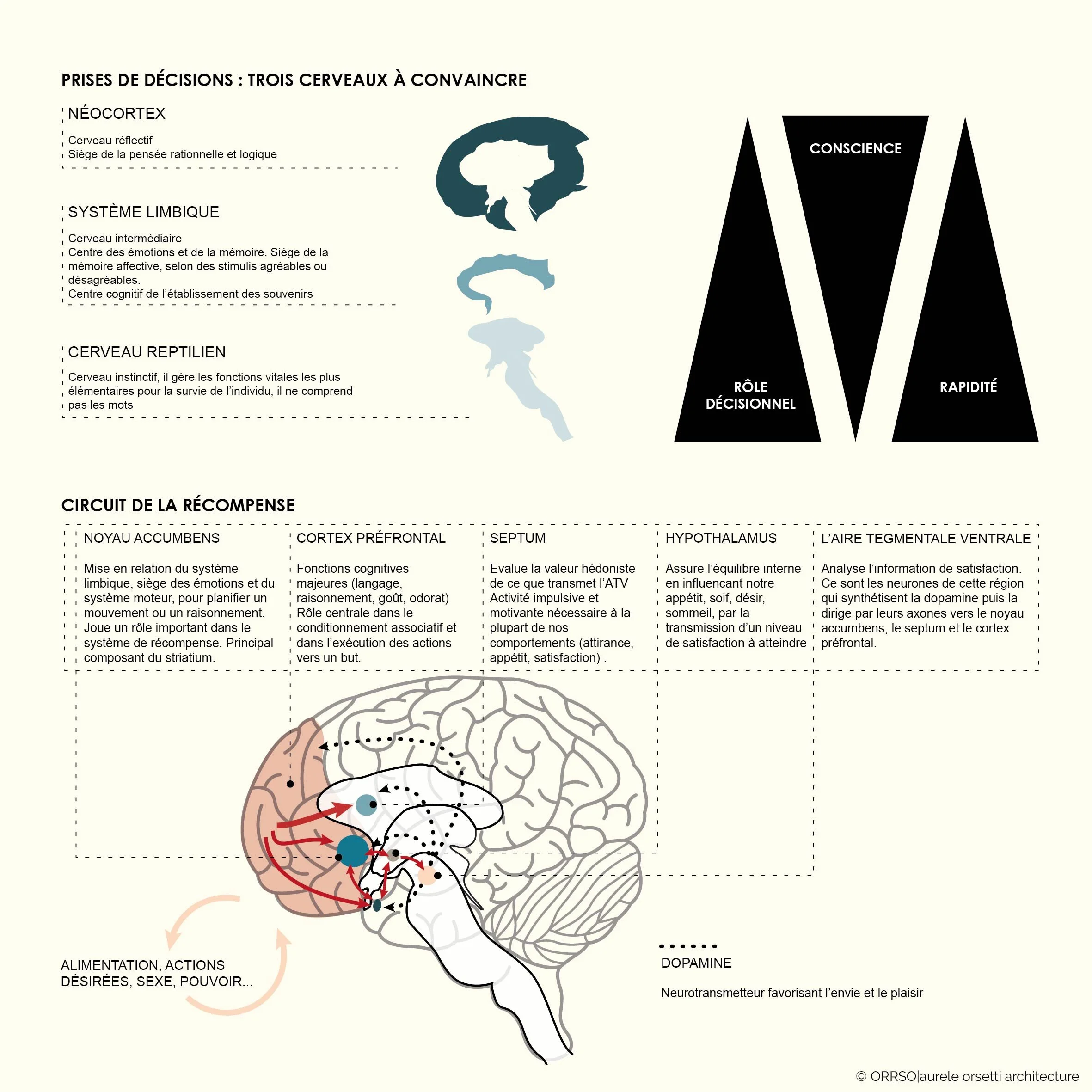 6_ORRSO_Psychologie et mécanisme de décision-RVB.jpg