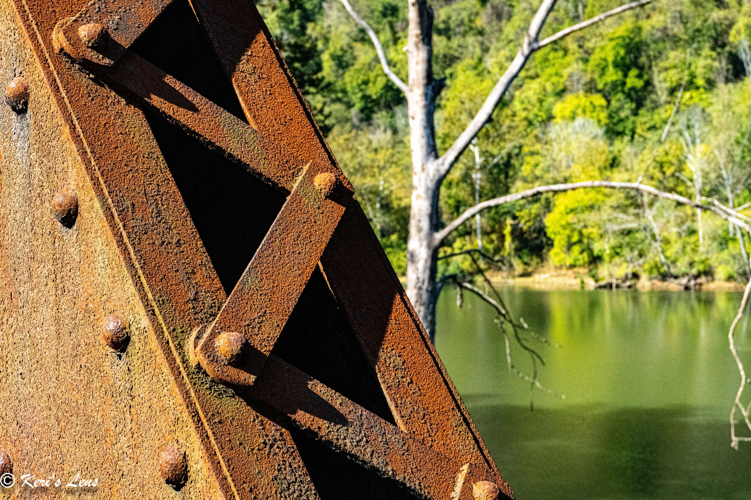 Waterfront Bridge on Rail Trail